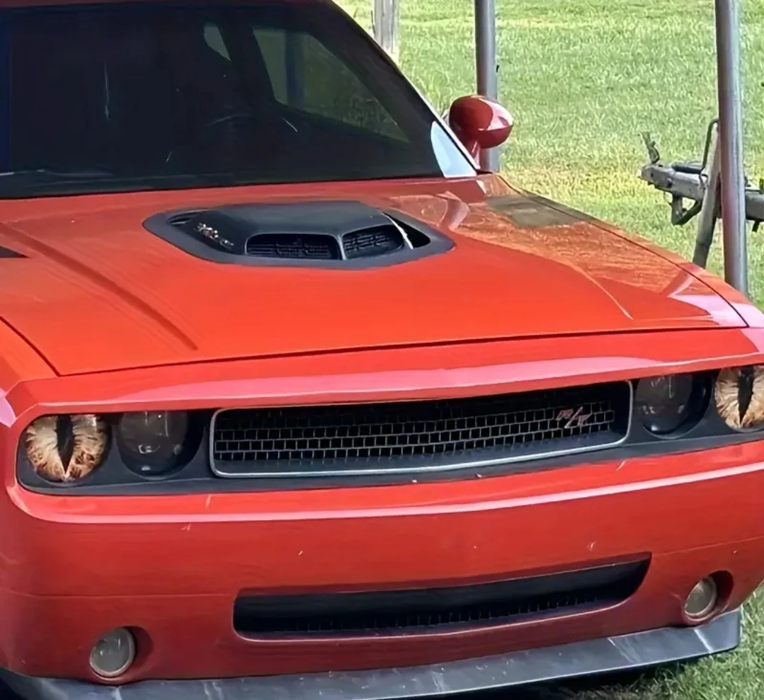 CAR HEADLIGHT SNAKE EYE DECALS NEW - photo 5