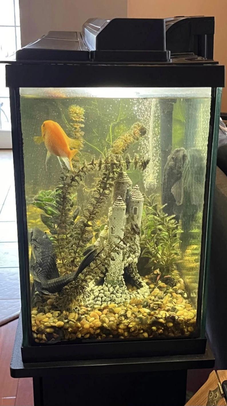 Aquarium Set with Stand - photo 2