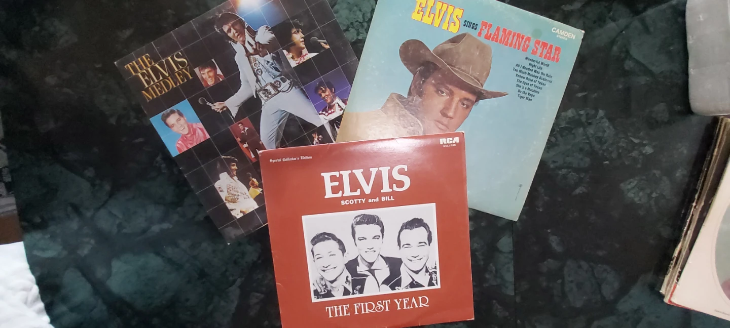 Elvis Presley & The Everly Brothers Vinyl Records Collection - photo 3