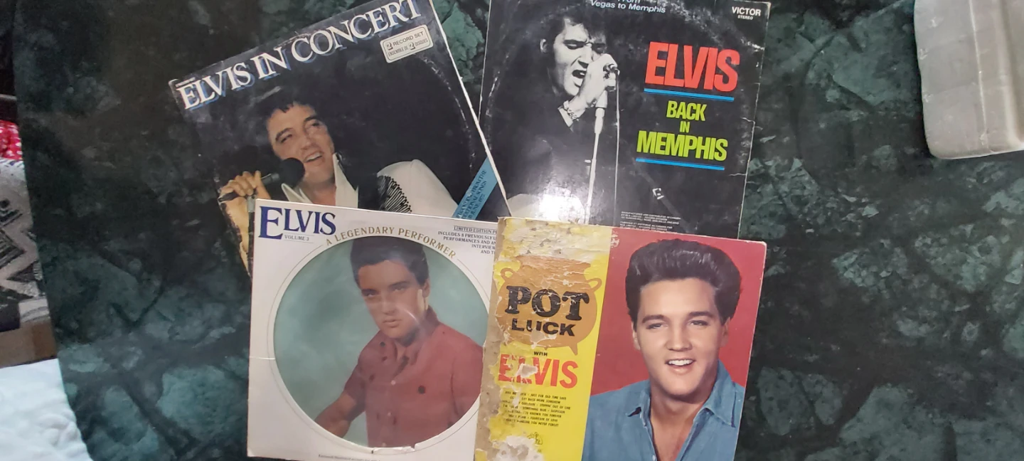 Elvis Presley & The Everly Brothers Vinyl Records Collection - photo 4