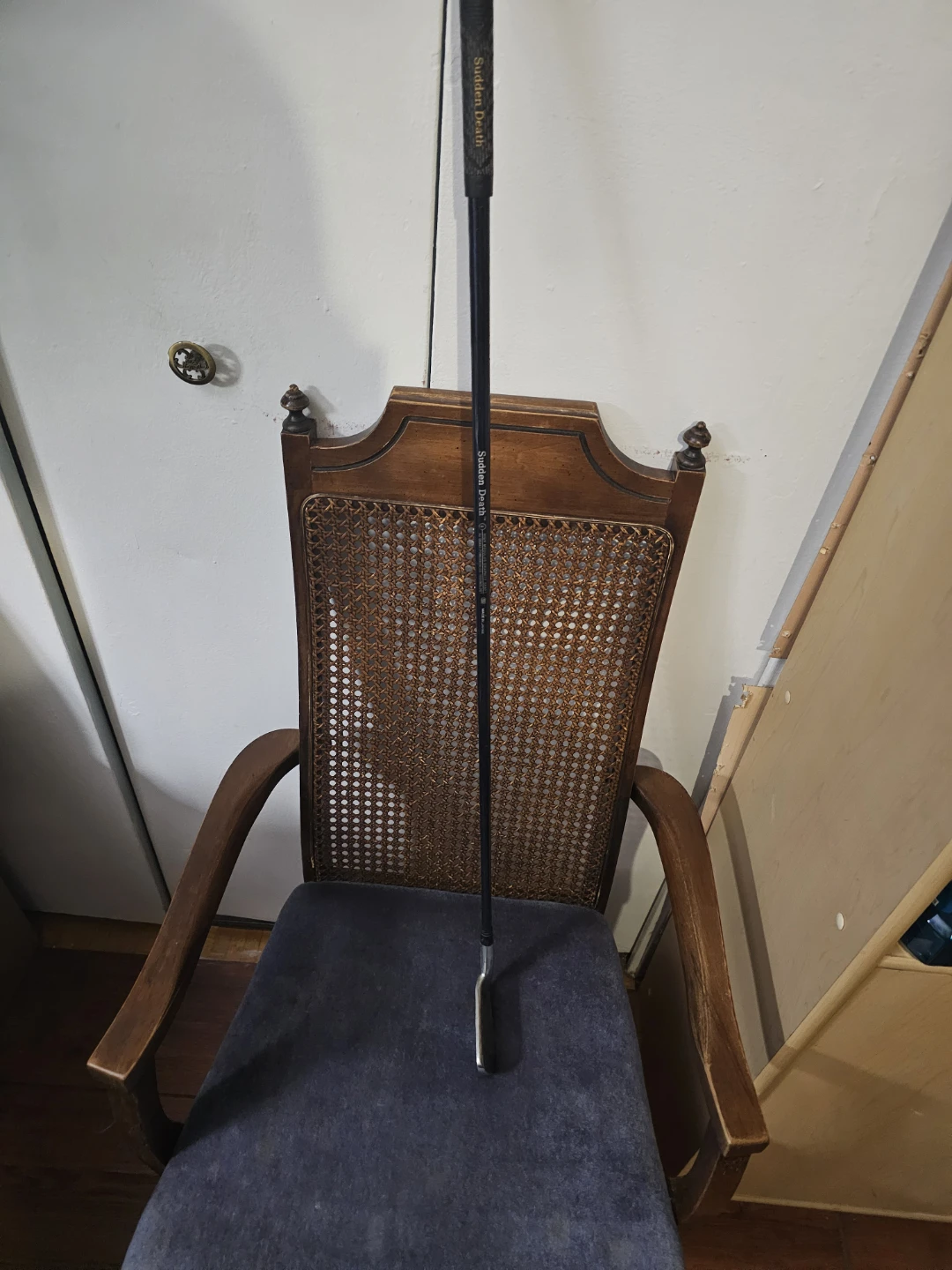 SD-901 3 Iron Golf Club - photo 3