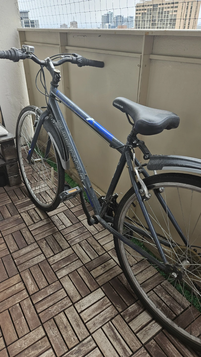 Supercycle Bicycle - photo 2