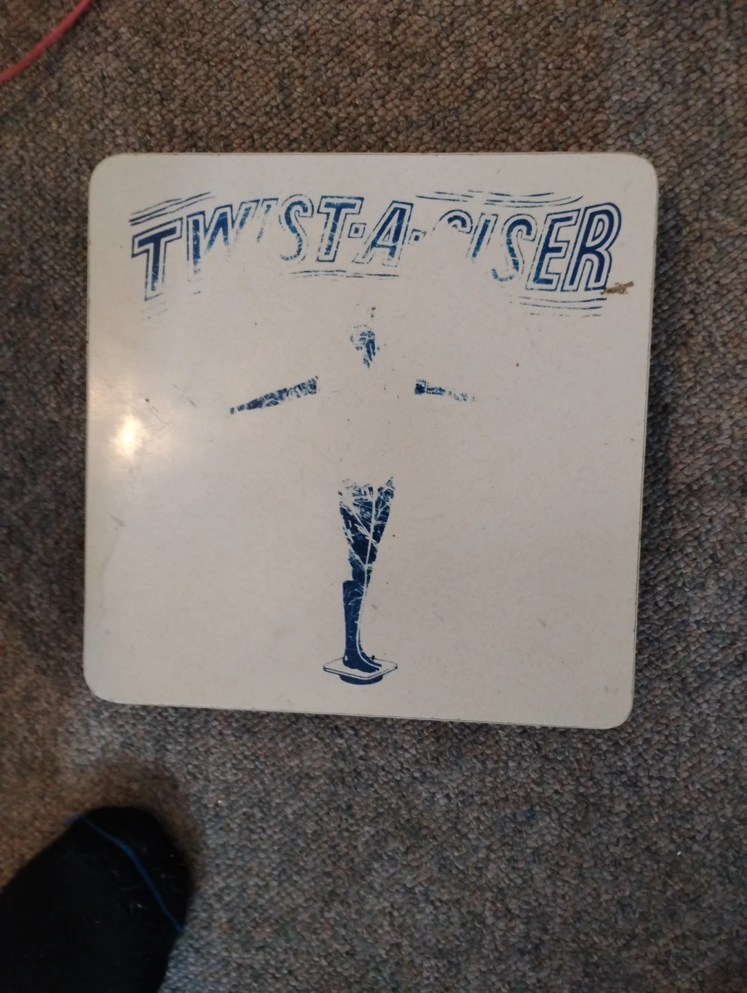 Twist-A-Ciser Fitness Board