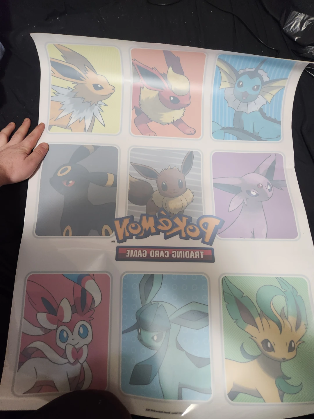 Pokemon Trading Card Game window stickers with Eeveelutions