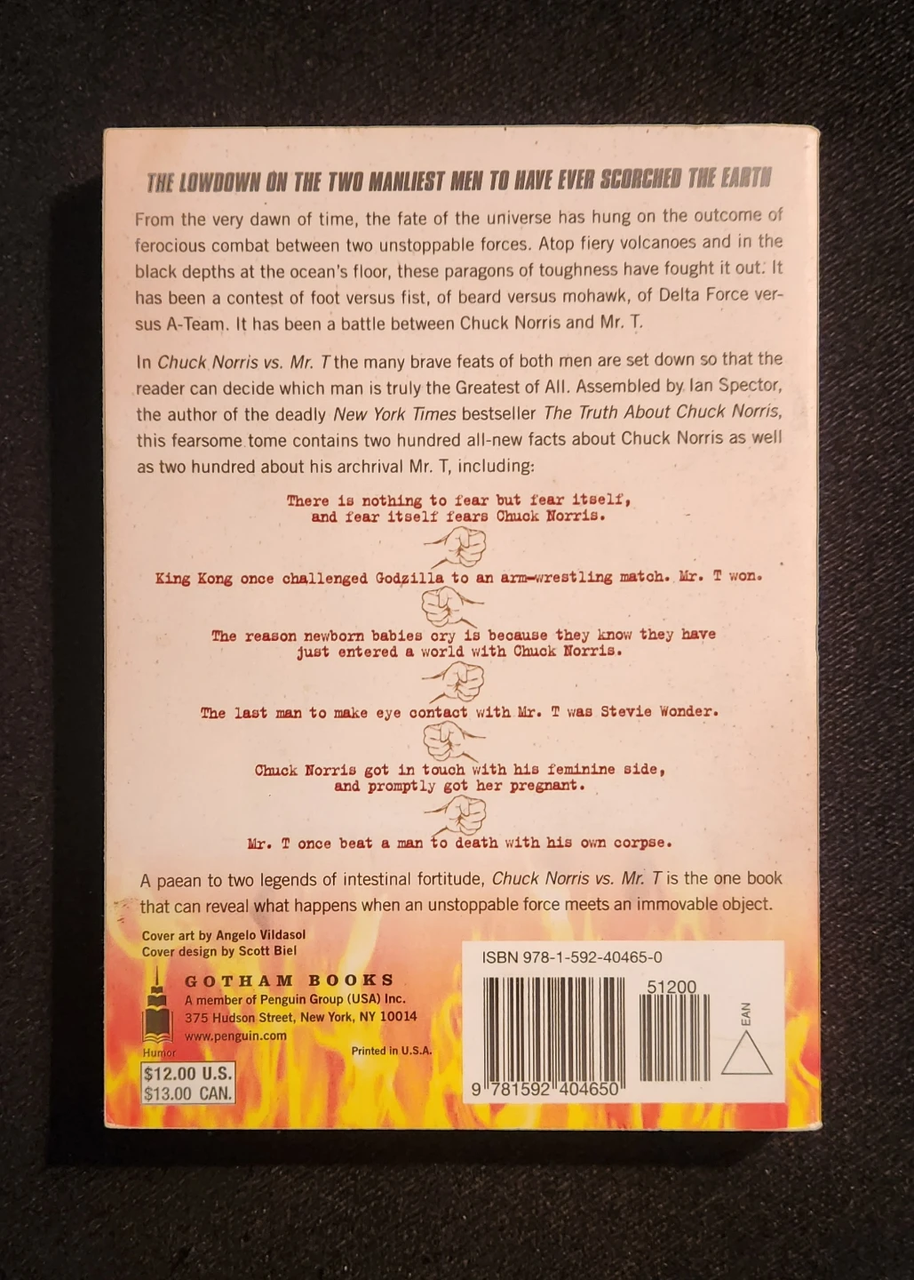 Chuck Norris VS Mr. T Book - photo 2