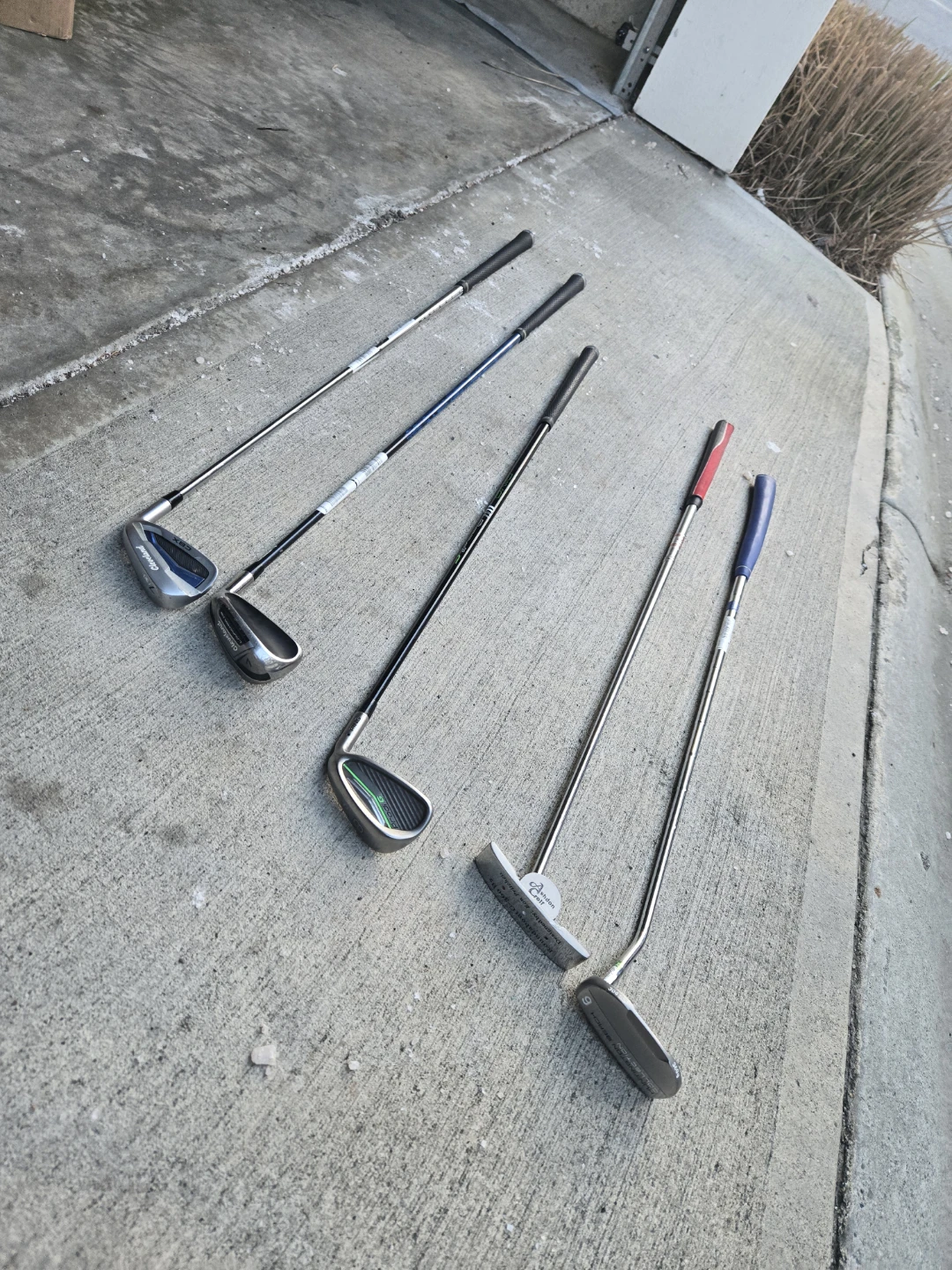 Collection of Golf Clubs - Putter and Irons