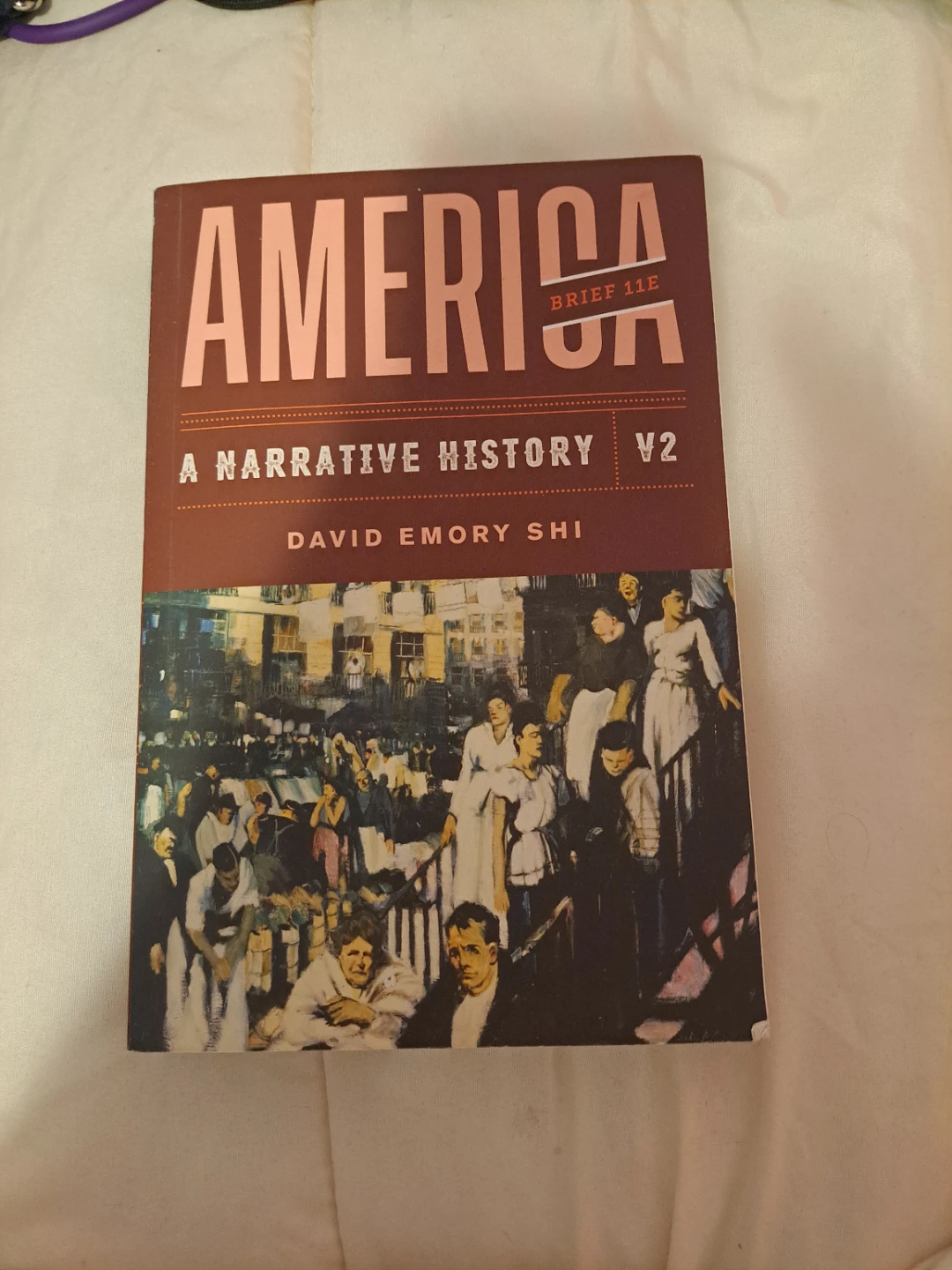America: A Narrative History V2 Brief 11E by David Emory Shi