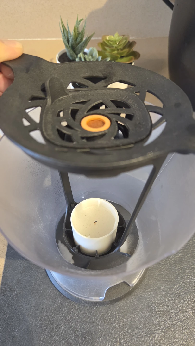 outdoor mosquito scent