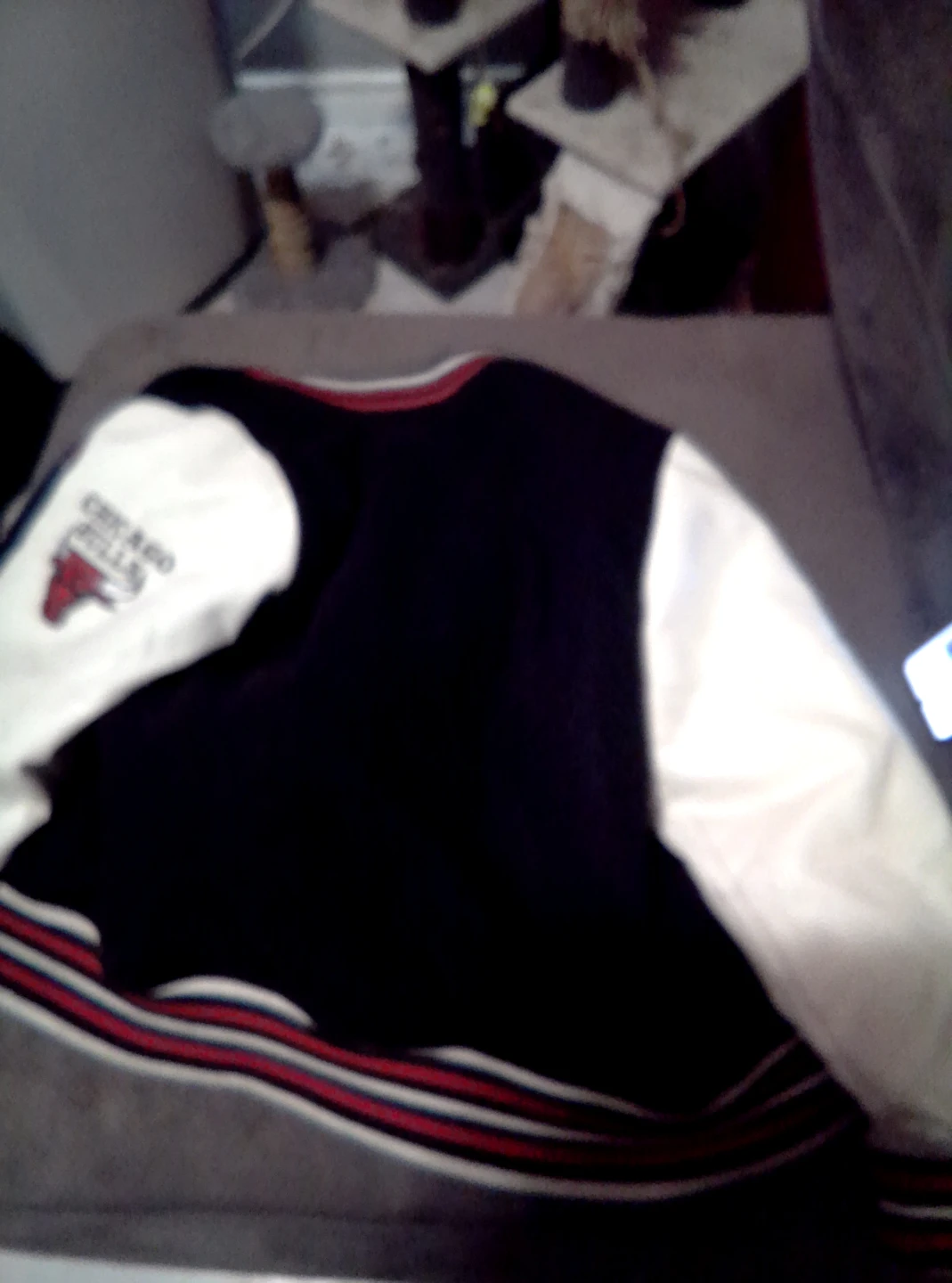 Chicago Bulls Varsity Jacket - photo 3