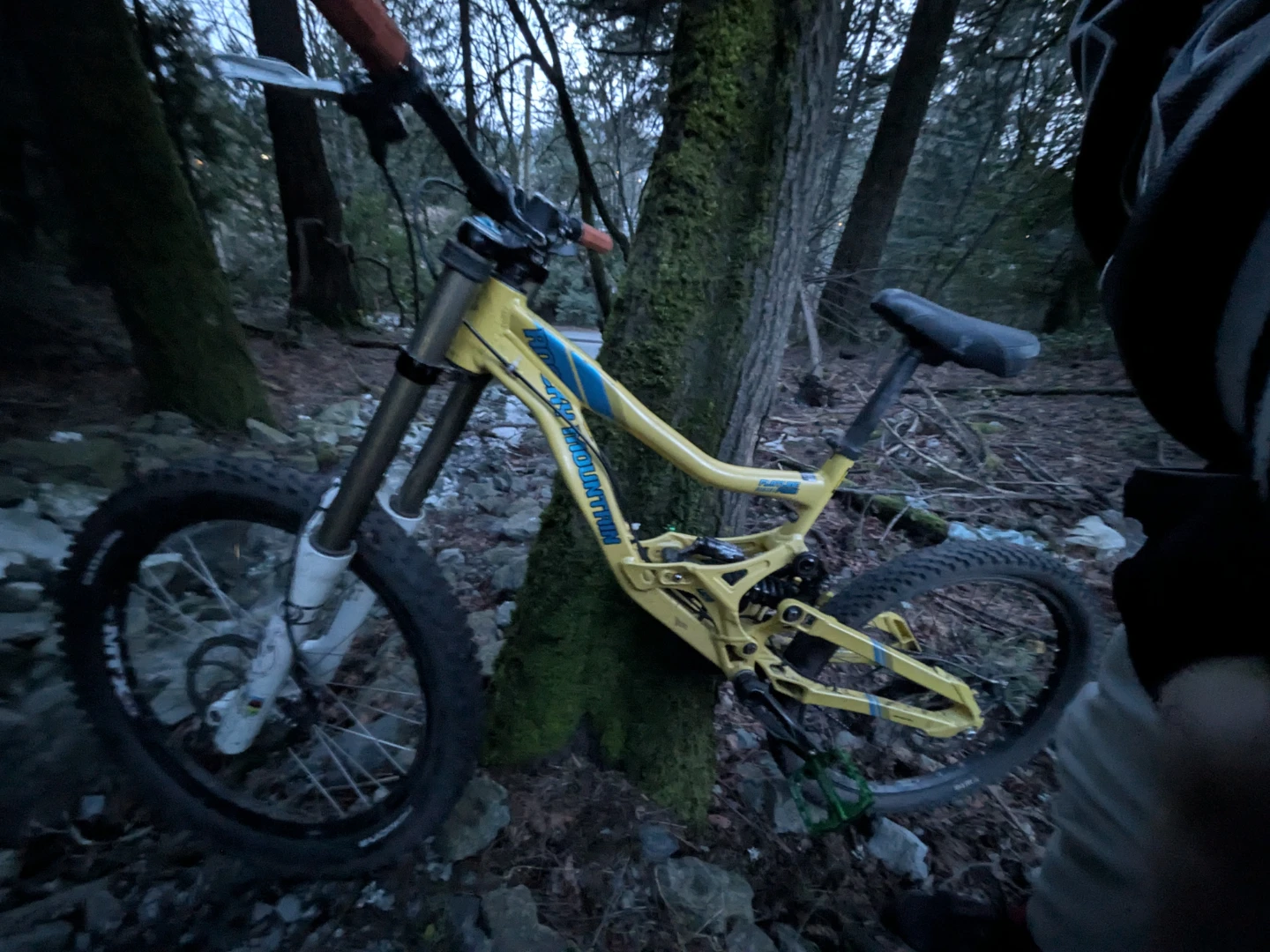 Rocky Mountain Flatline DH Bike