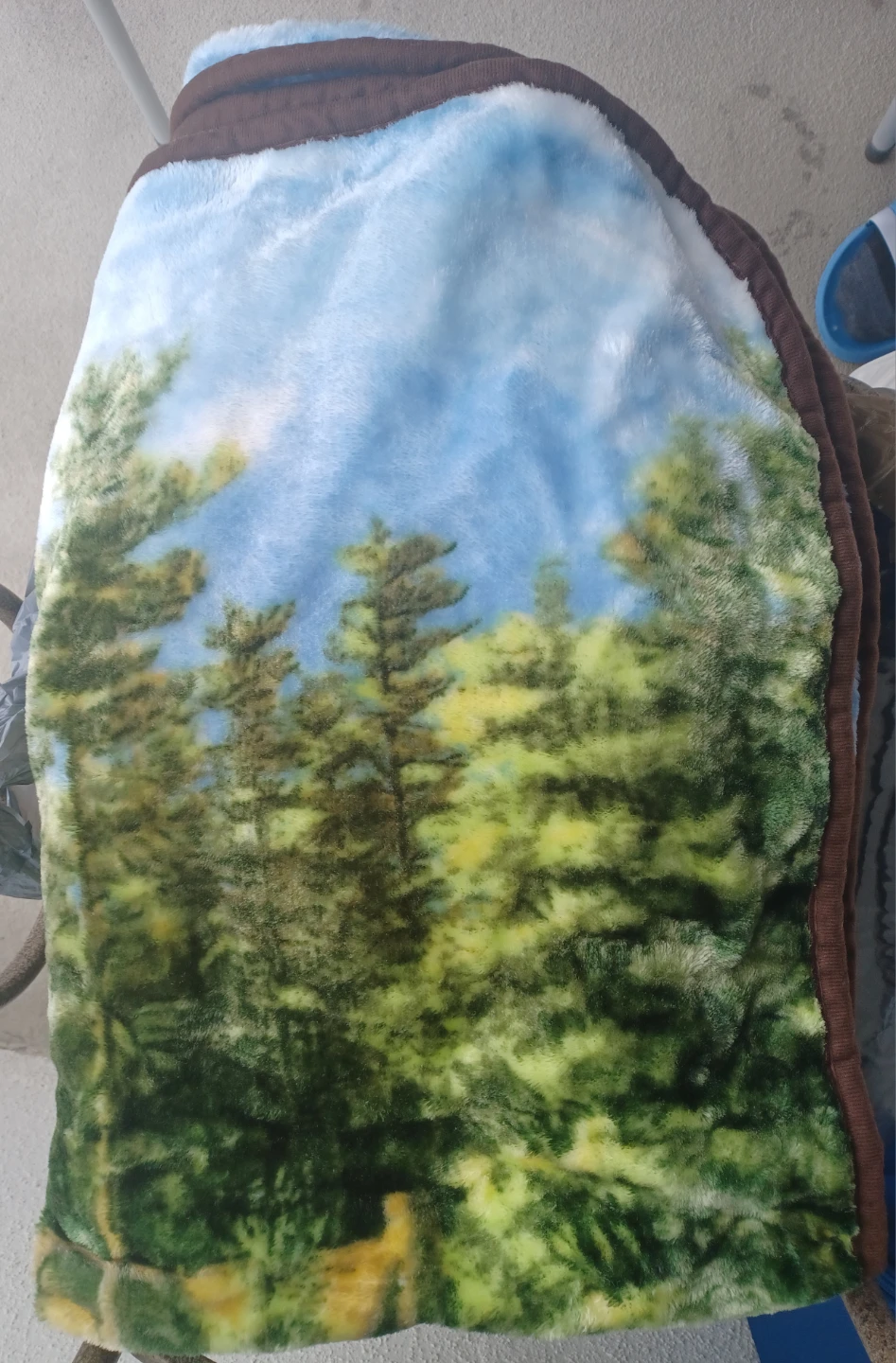 Fleece Blanket with Eagle and Forest Scene - photo 2