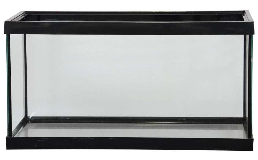Aquarium with accessories