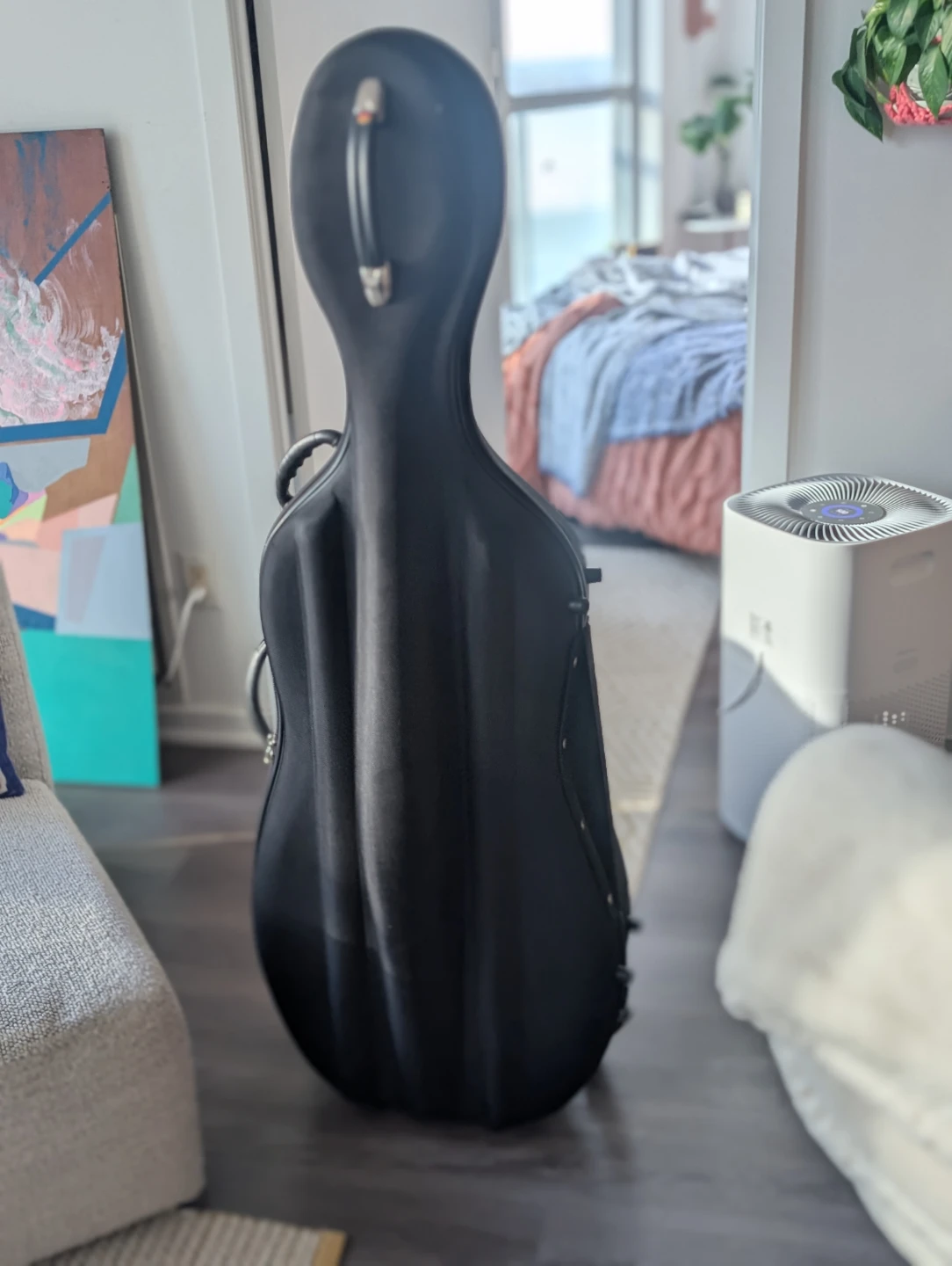 4/4 Cello hard case