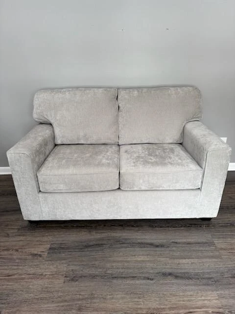 Couch and loveseat