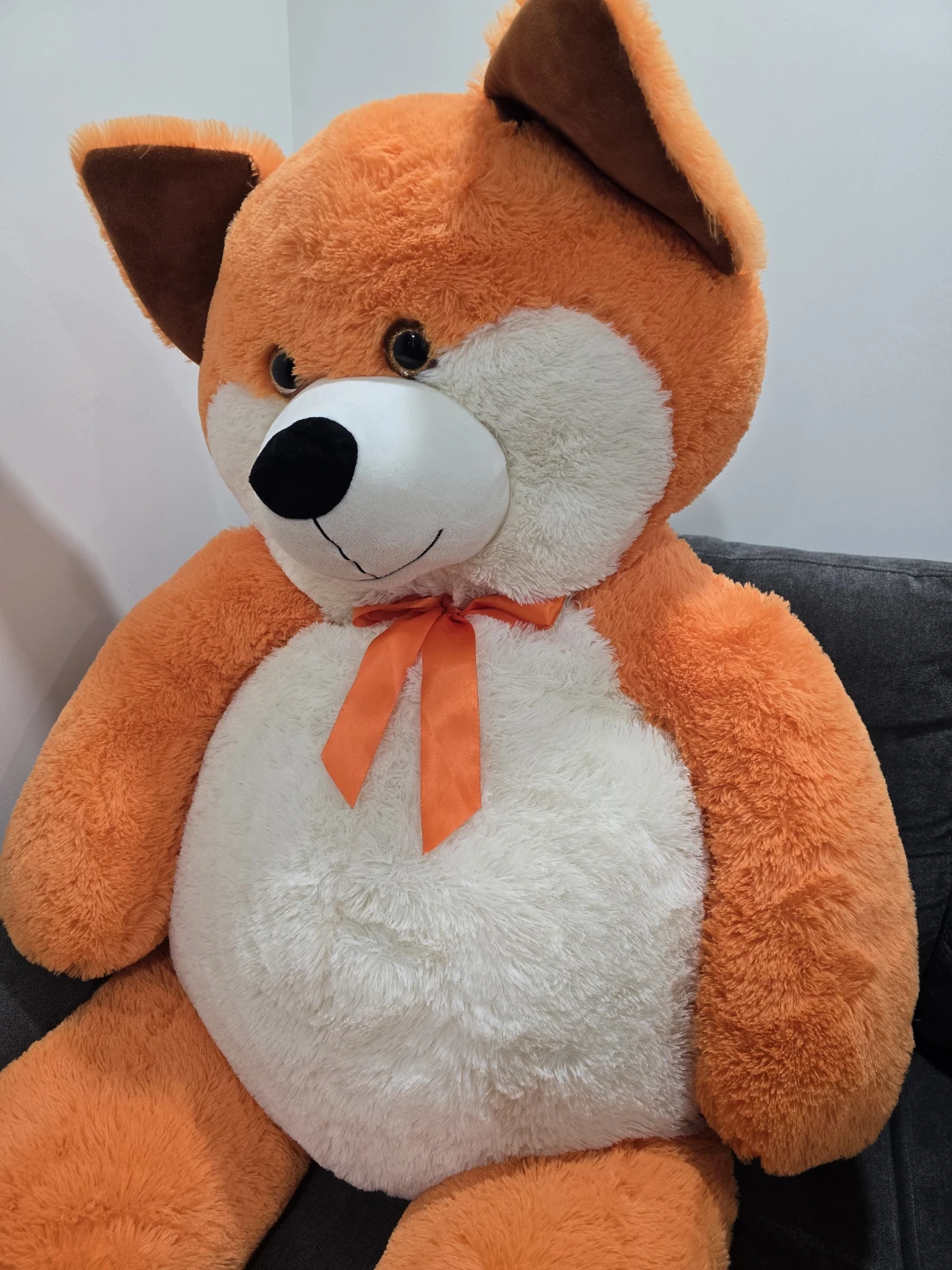Teddy - photo 2