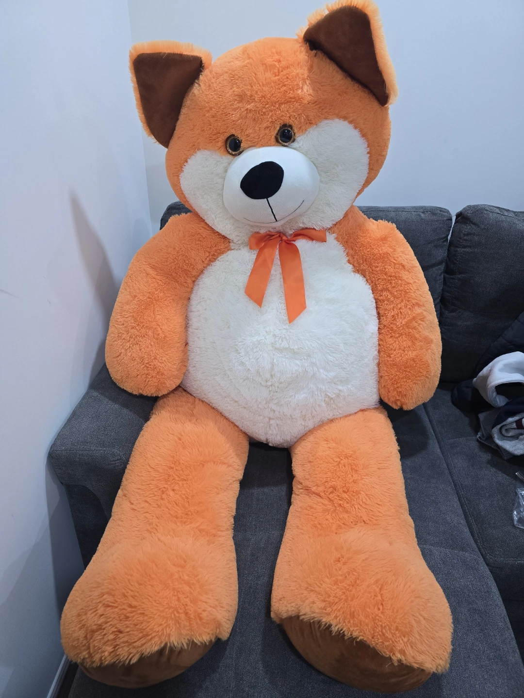 Teddy - photo 3