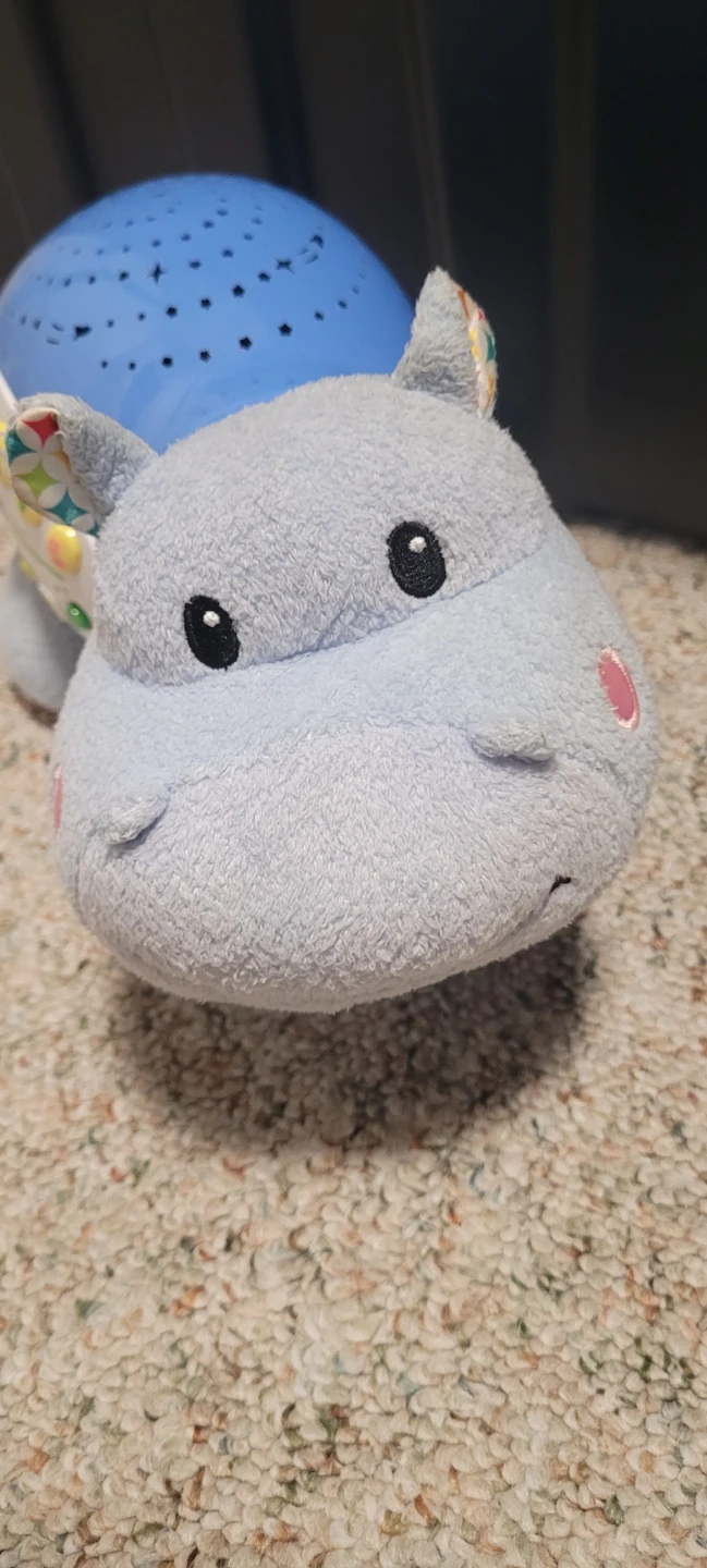 VTech Hippo