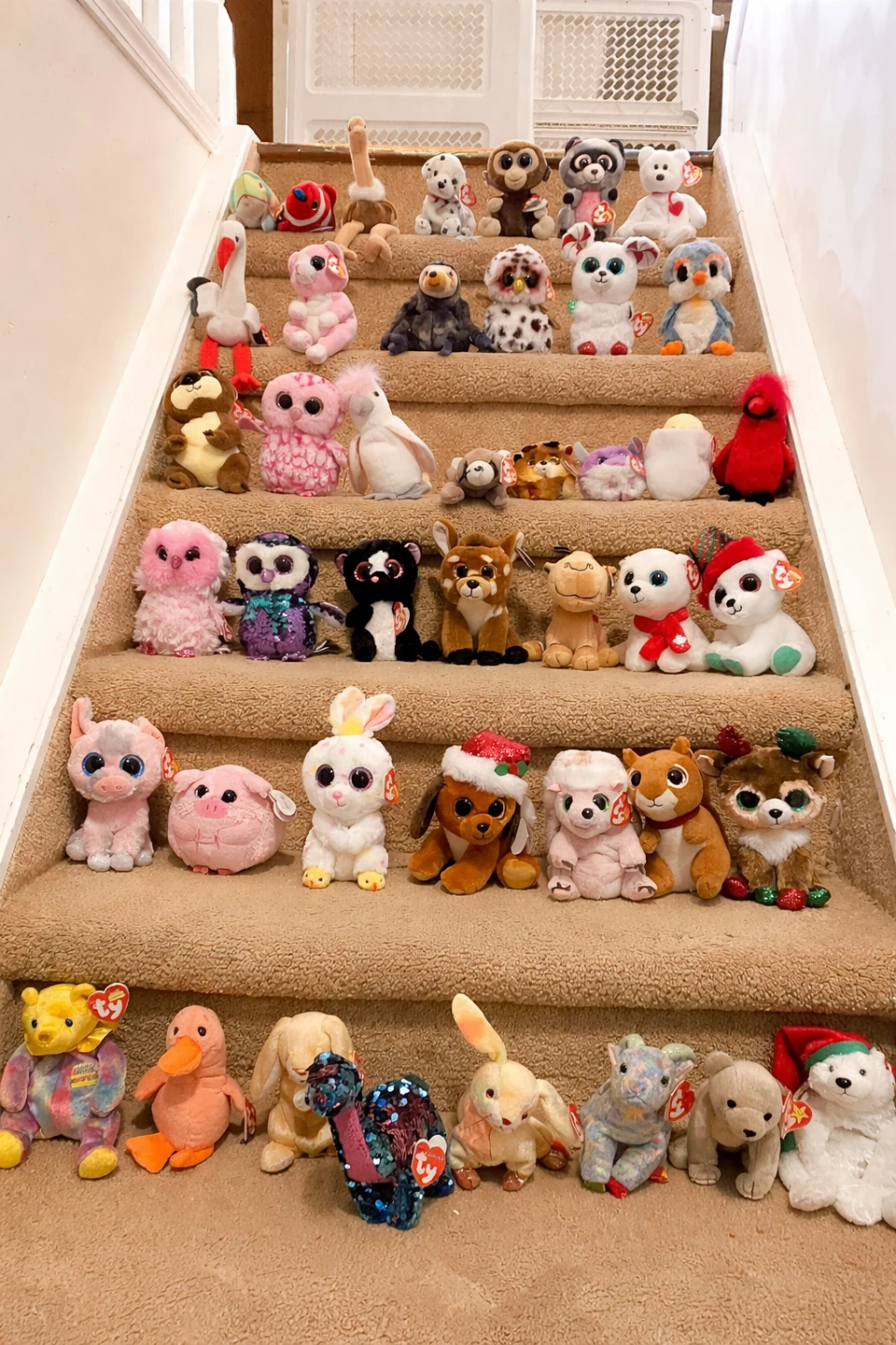 Collection of Ty Beanie Boos All NEW - photo 2