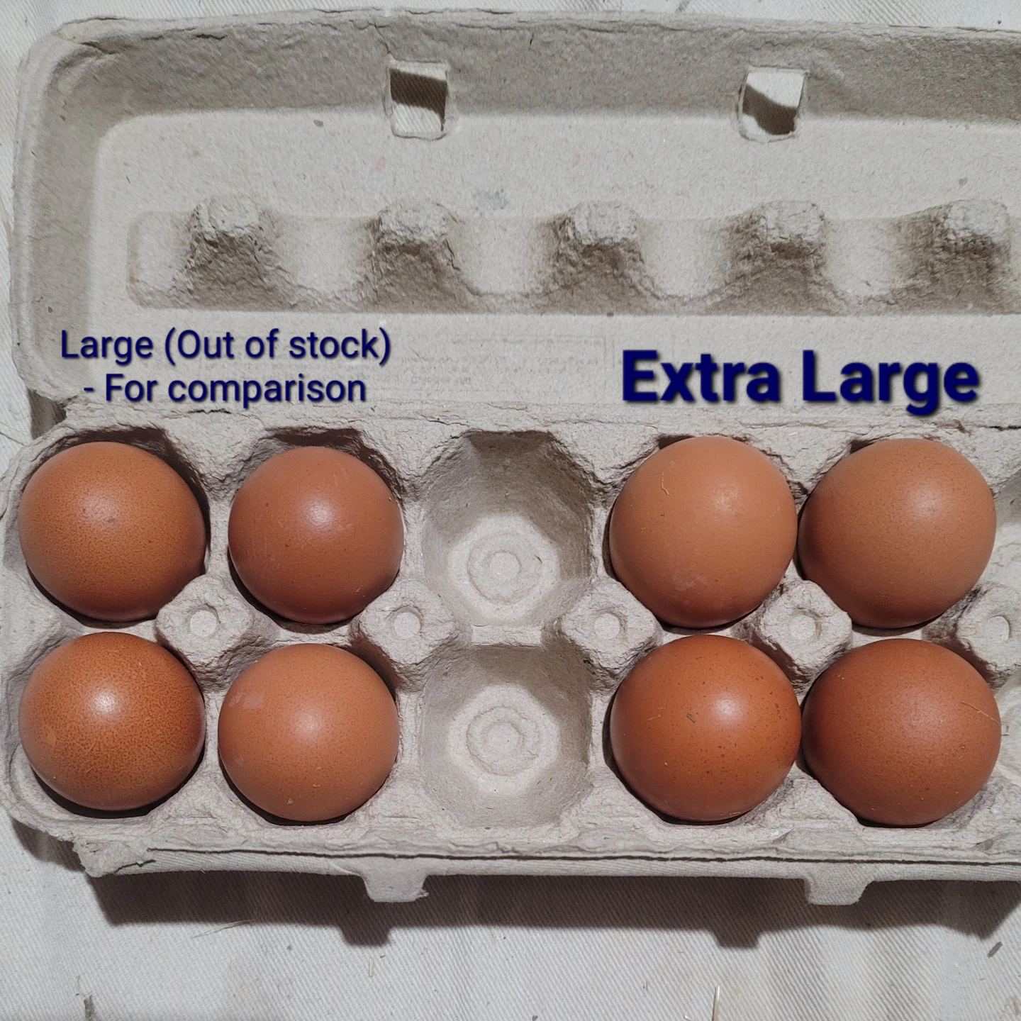 Extra Large Brown Eggs - photo 2