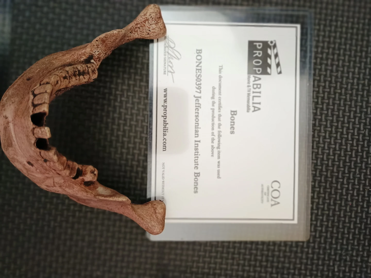Propabilia Jeffersonian Institute Bones Prop - photo 3