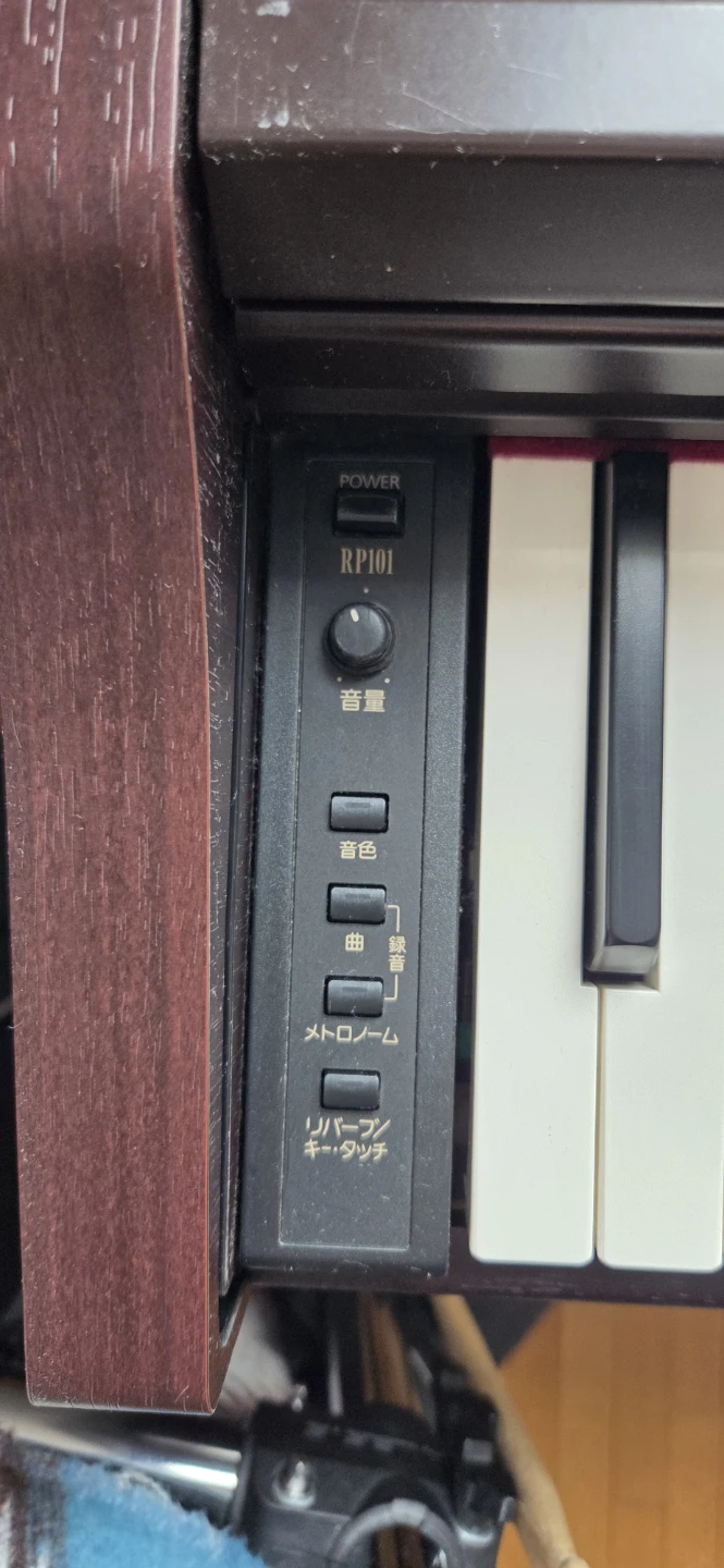 Roland RP101 Digital Piano with Bench - photo 4
