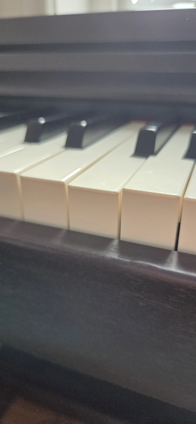 Roland RP101 Digital Piano with Bench - photo 5