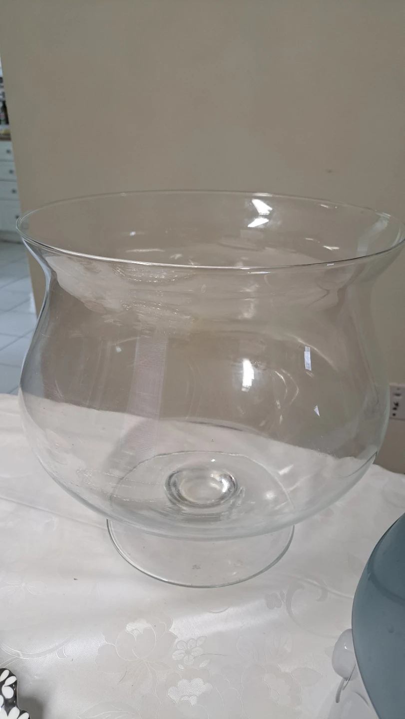 Large Glass Fish Bowl / Terrarium