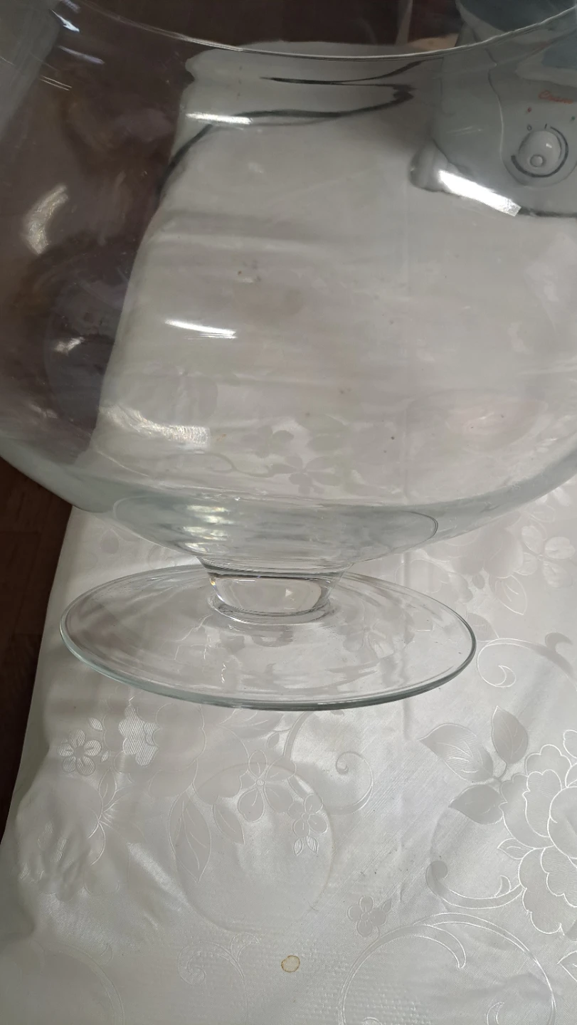 Large Glass Fish Bowl / Terrarium - photo 3