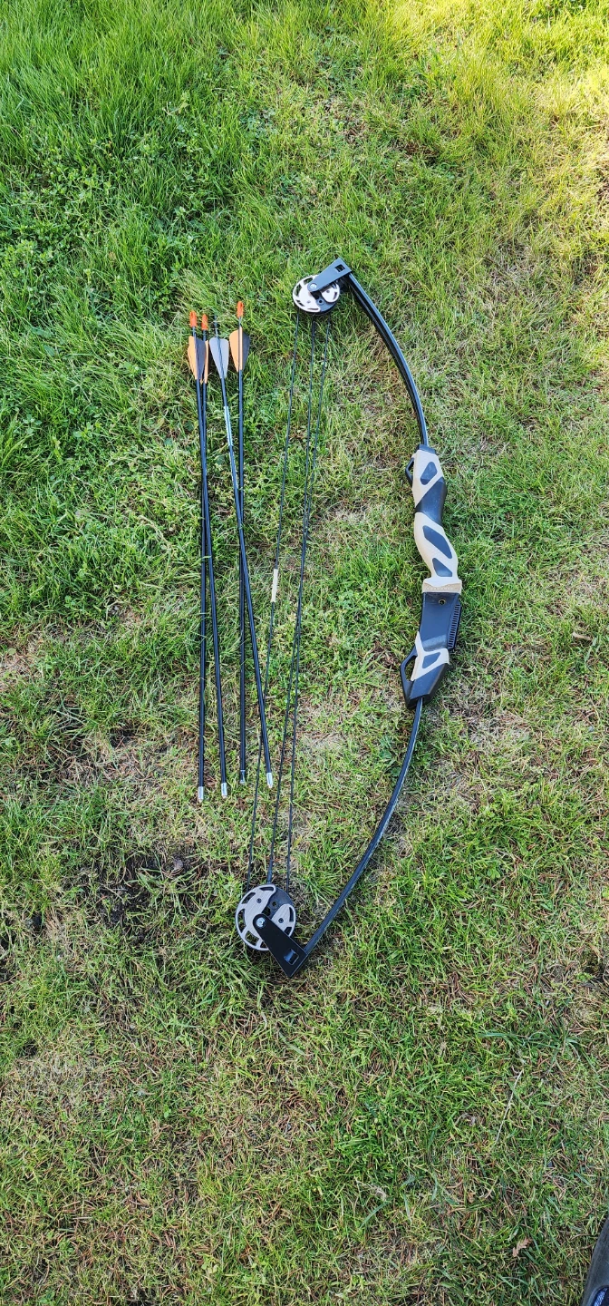 Compound Bow with Arrows
