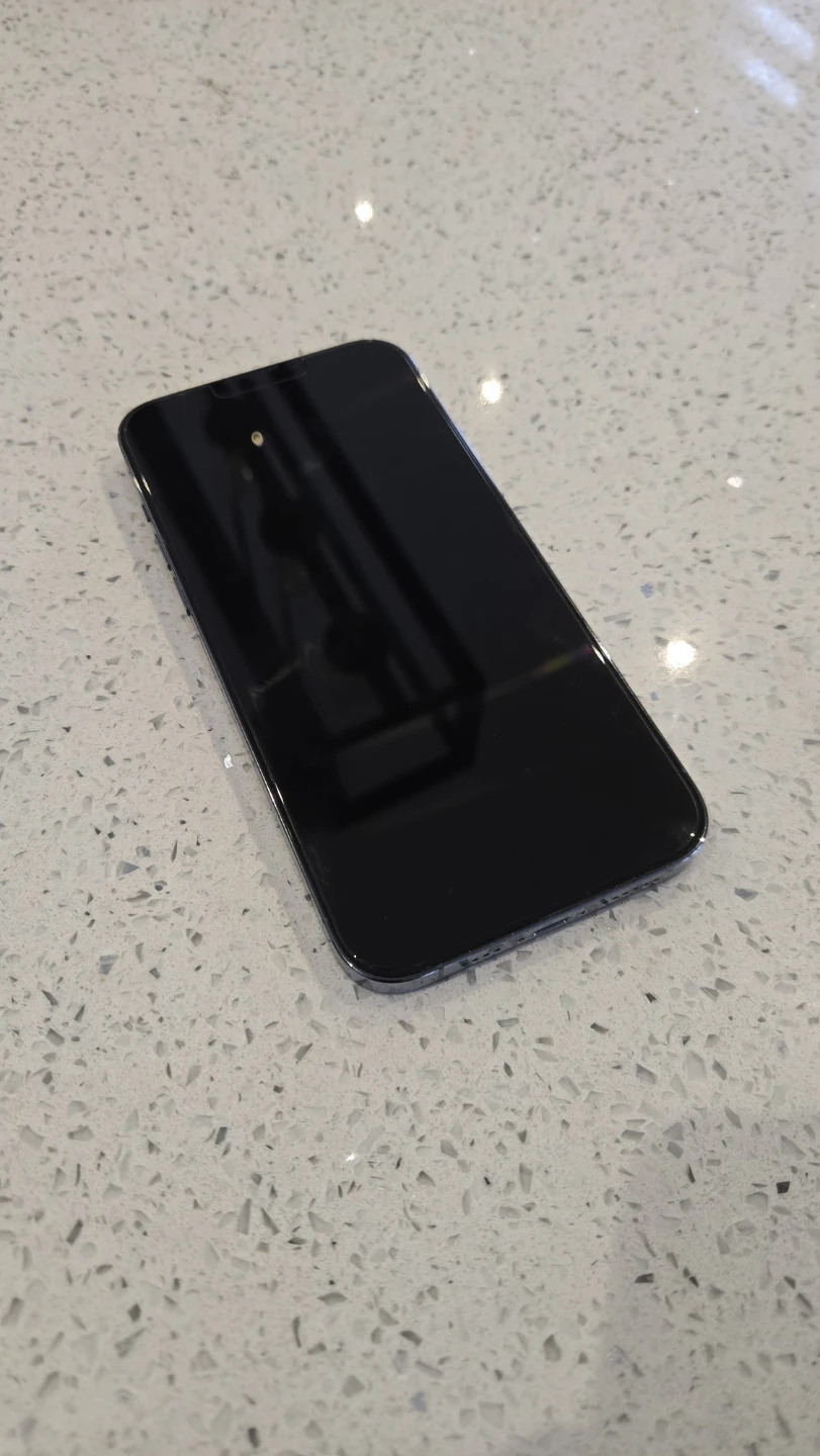 Apple iPhone 13 Pro Max - 256GB - Sierra Blue - photo 3