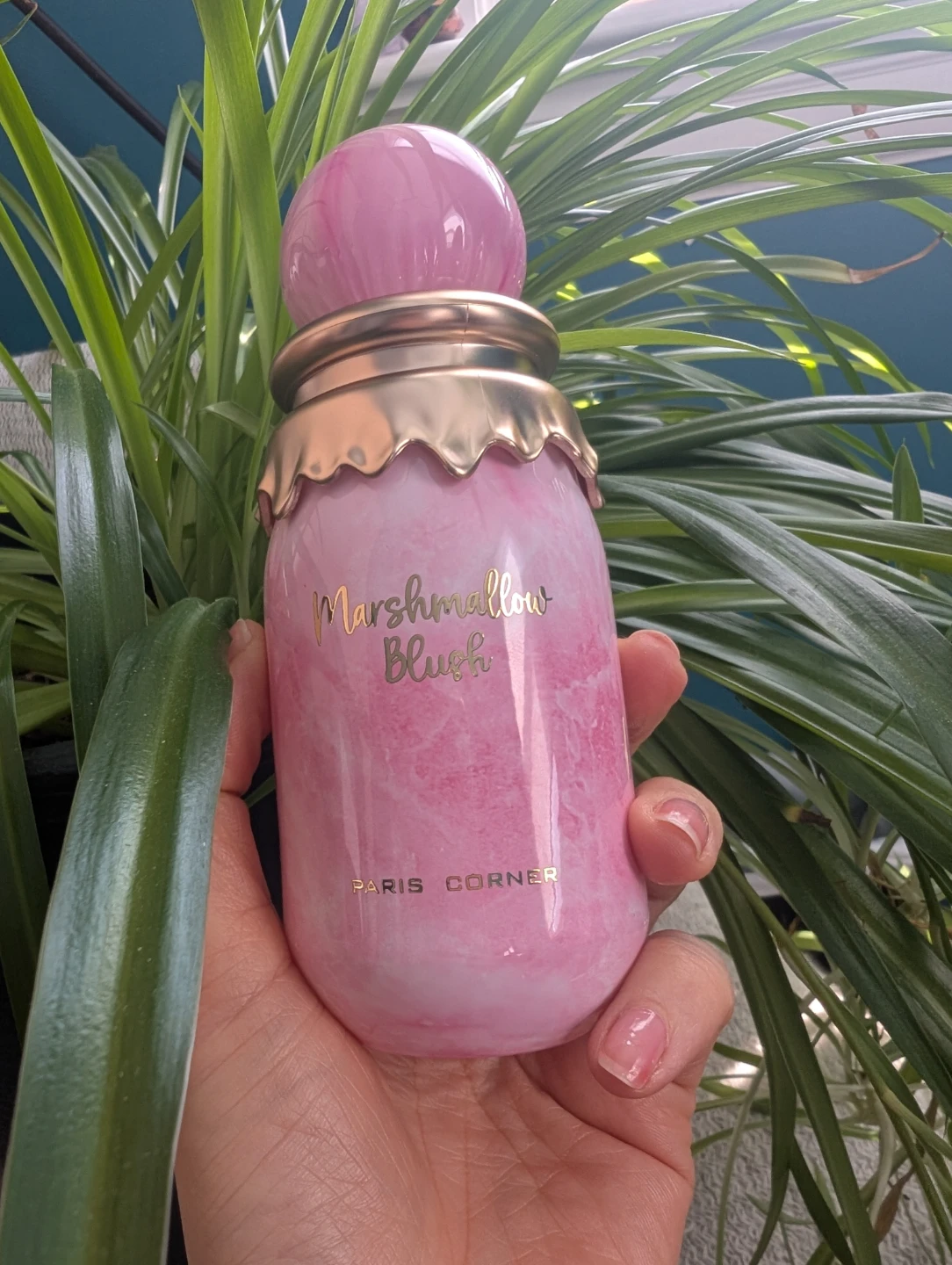 Marshmallow Blush Perfume