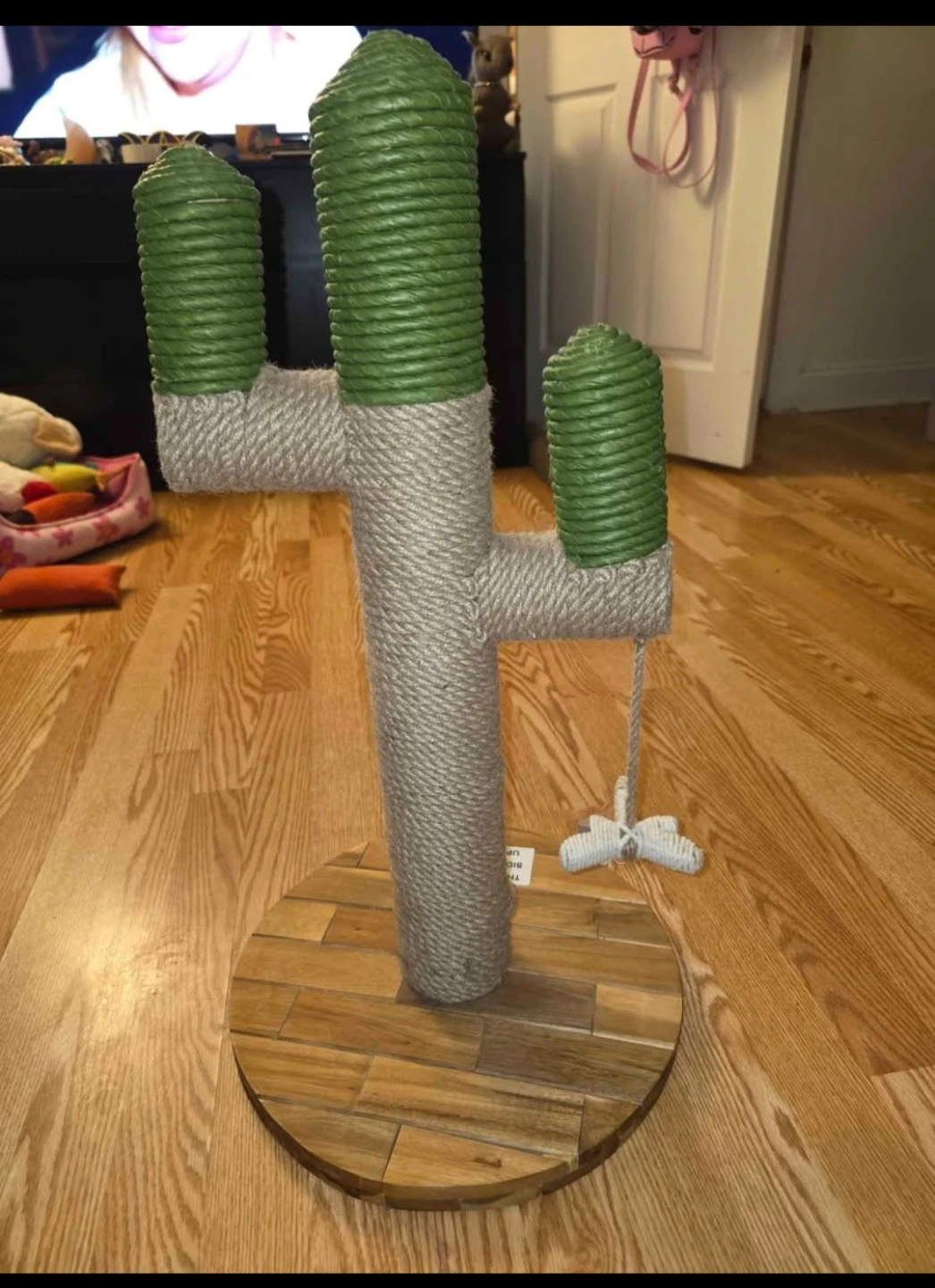 Cactus Cat Scratcher Post