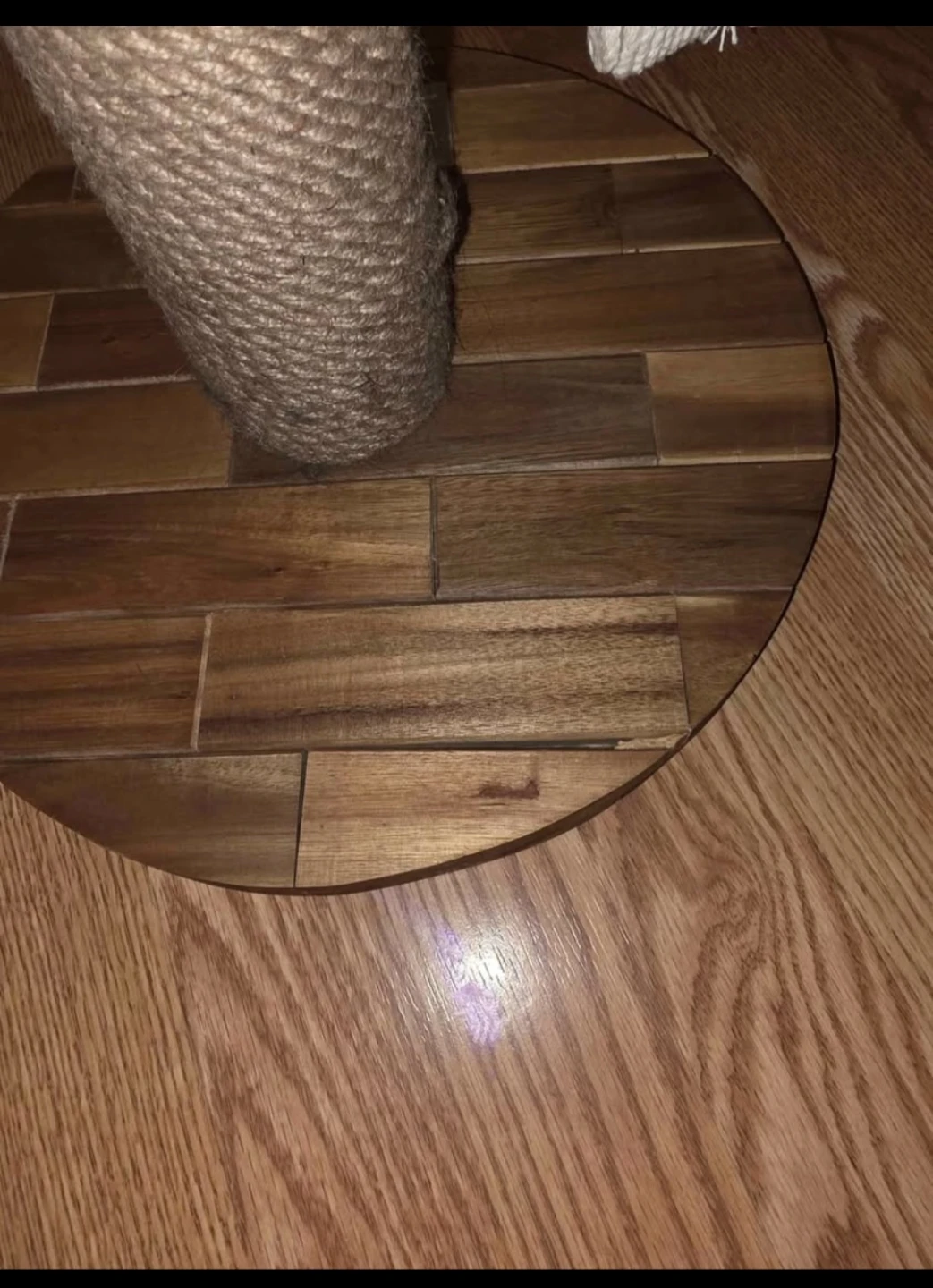 Cactus Cat Scratcher Post - photo 2
