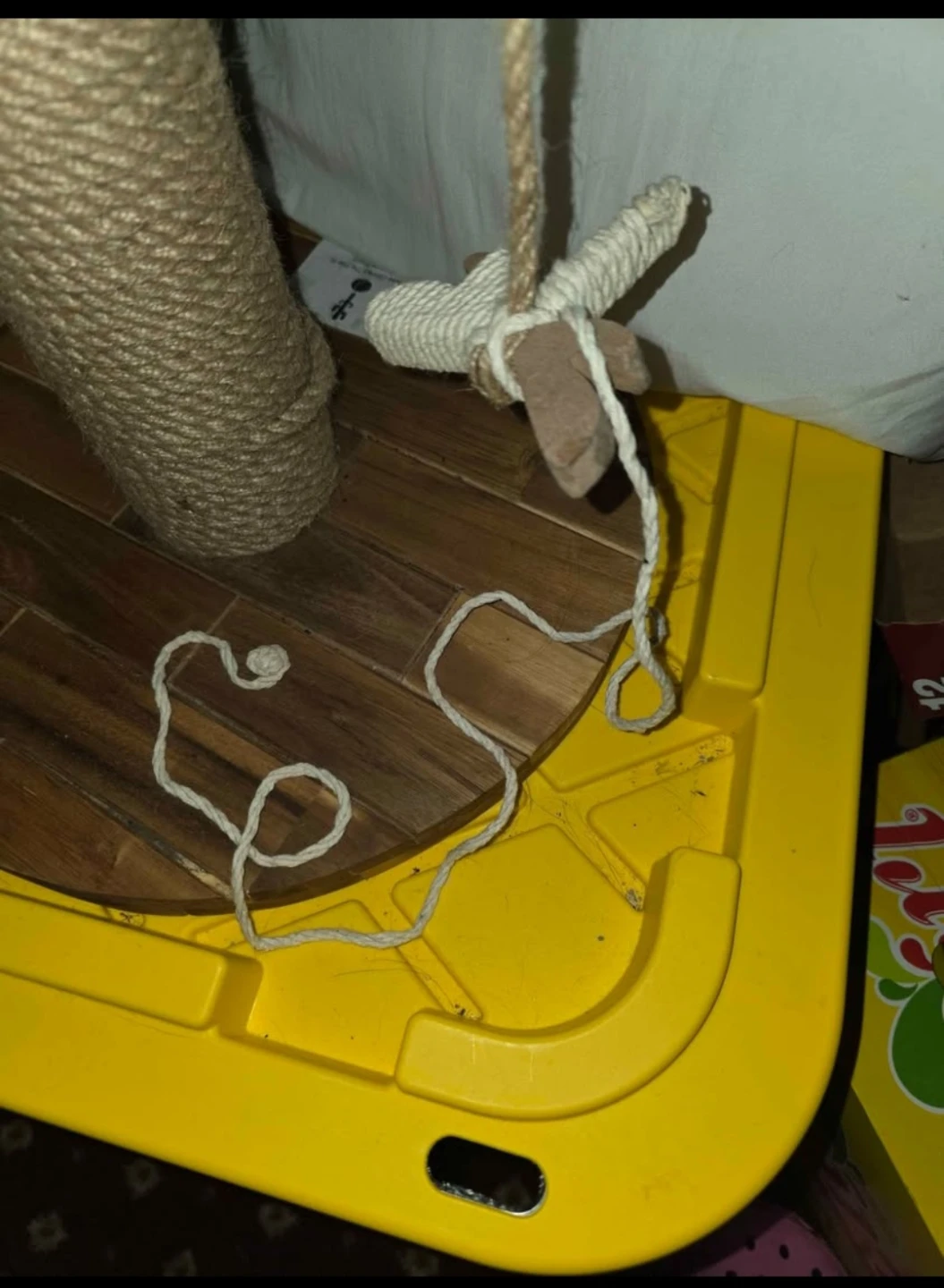Cactus Cat Scratcher Post - photo 3