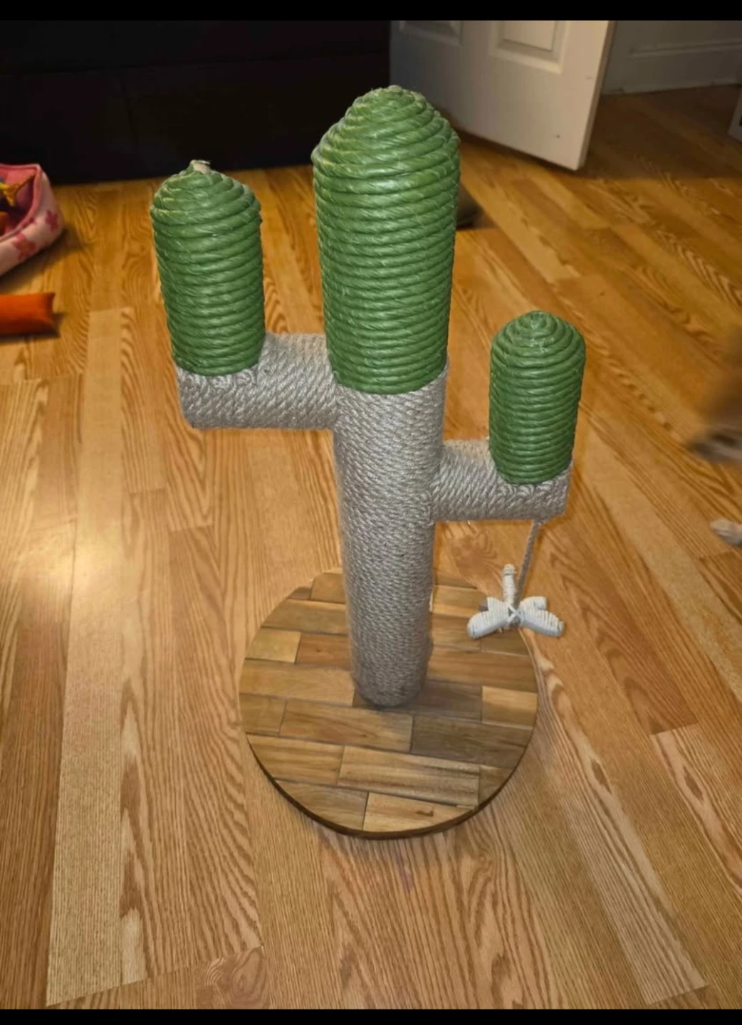 Cactus Cat Scratcher Post - photo 4