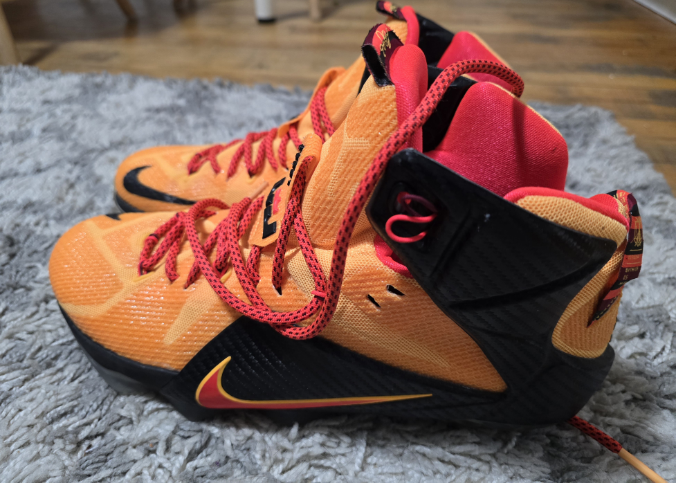 Nike LeBron