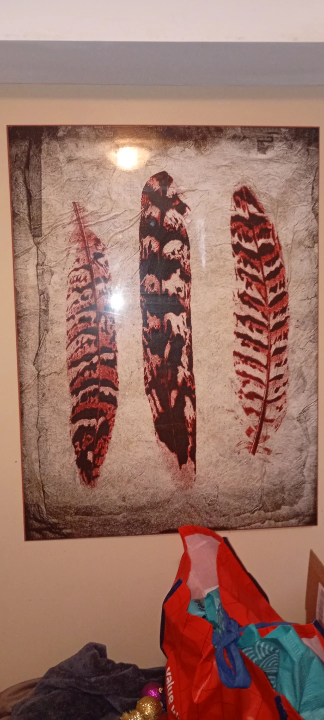 Feather Artwork Print