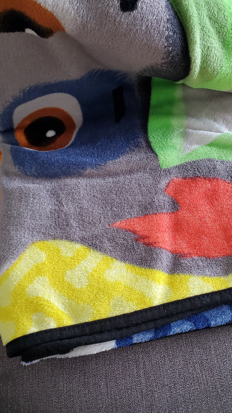 Kids Blanket Paw Patrol Fleece Throw Twin size - photo 3