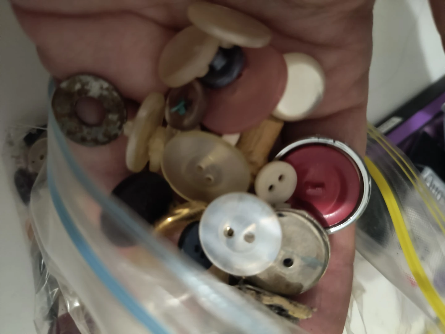 🥕 free a bag of Buttons