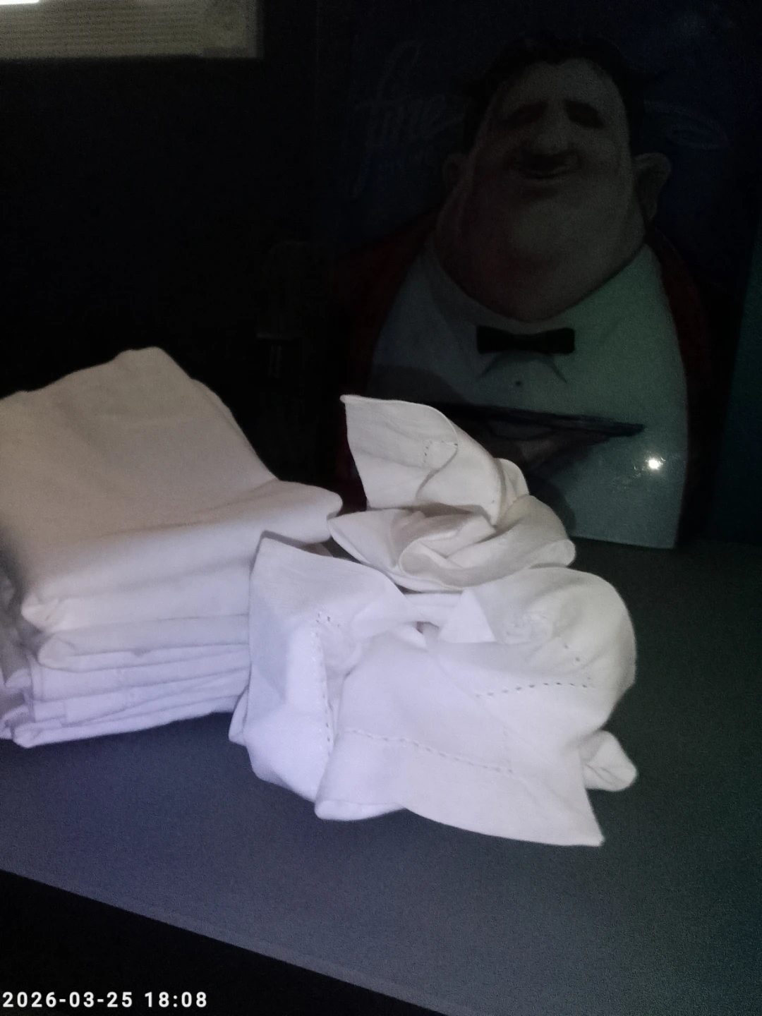 Catering and Dining clothe table napkins.