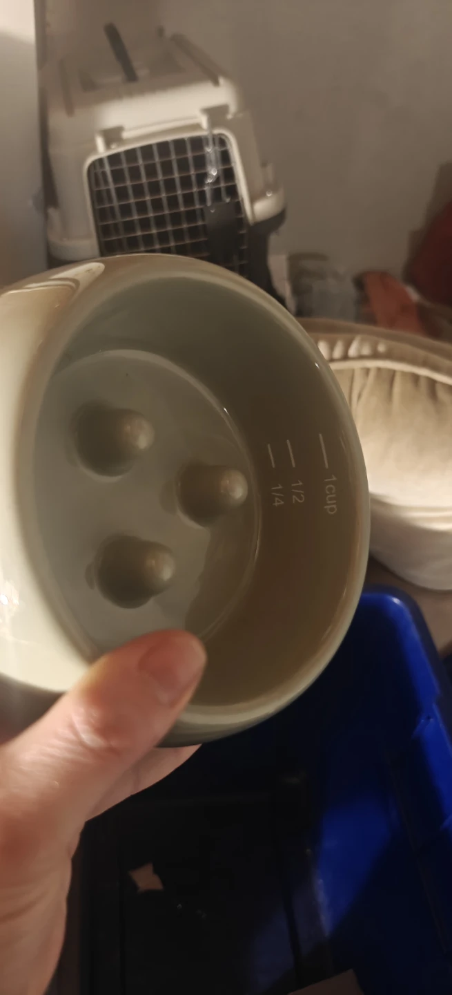Slow Feeder Pet Bowl