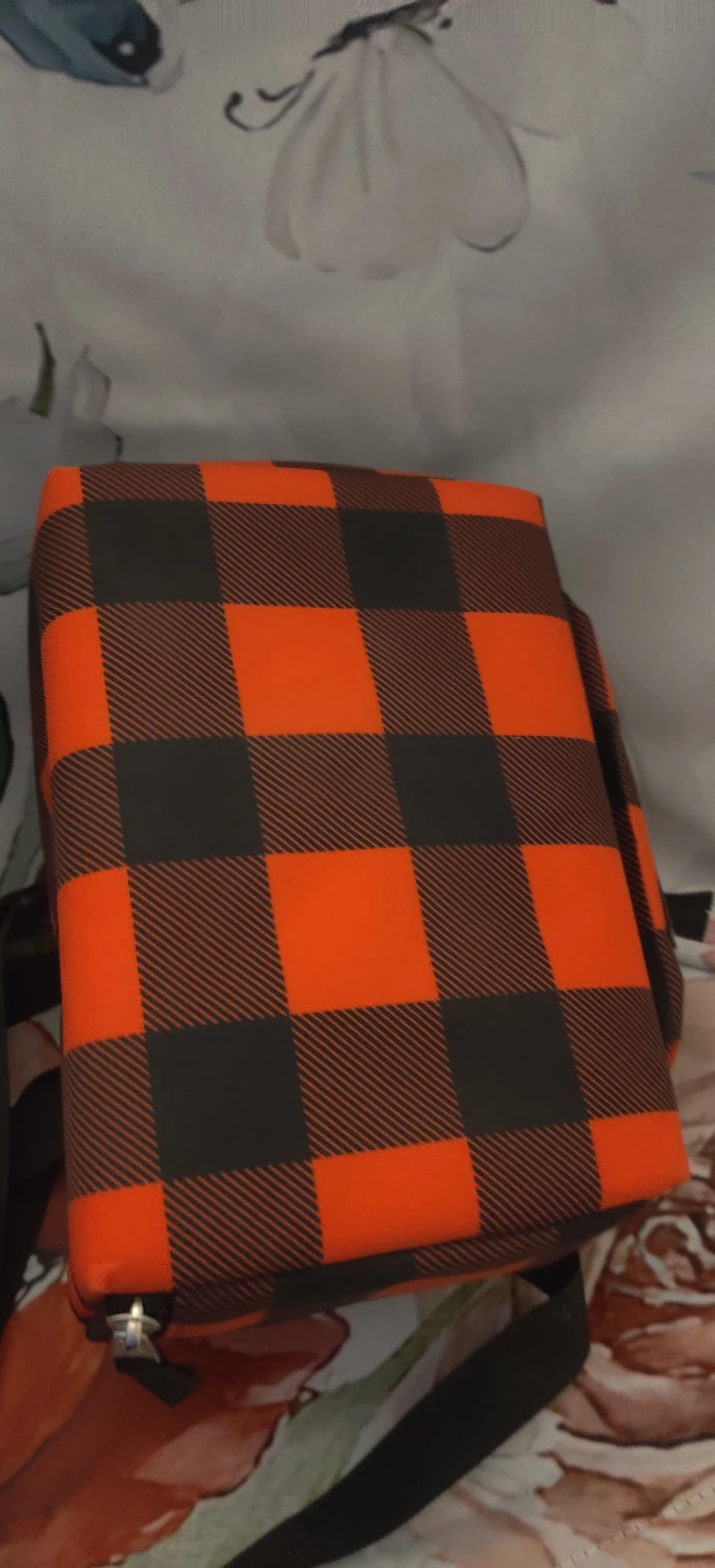 Jansport Buffalo Plaid Lunch Bag - photo 4