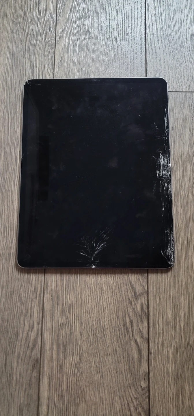 iPad Pro 11-inch (2nd Gen) - Cracked Screen - photo 3