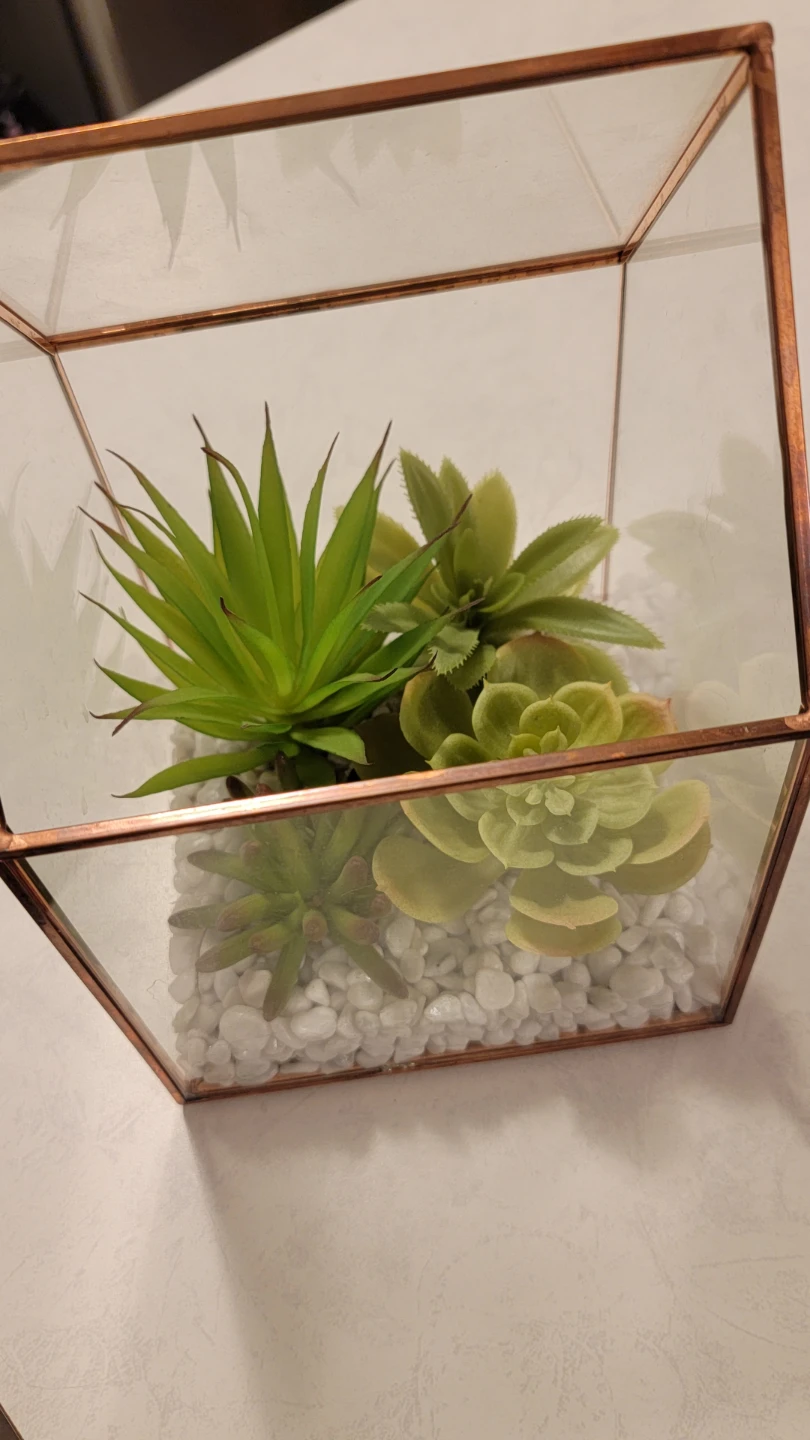 Geometric Terrarium with Artificial Succulents - photo 4