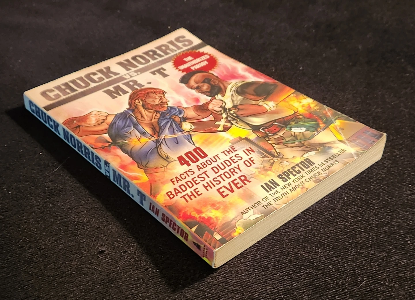 Chuck Norris VS Mr. T Book - photo 3