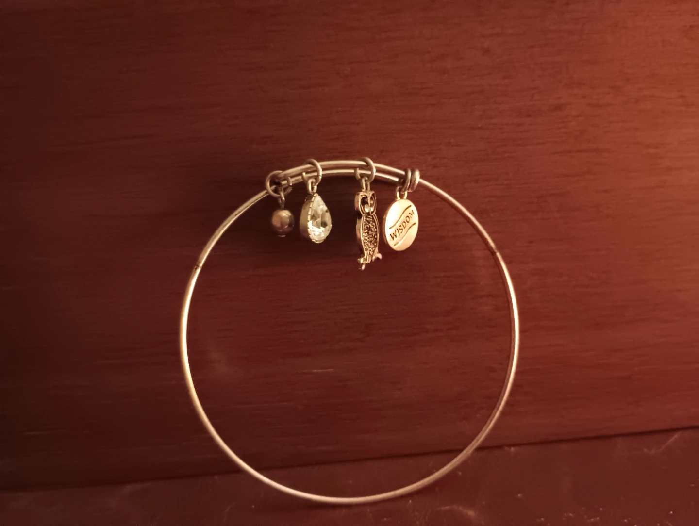 Alex and Ani "Wisdom" Charm Bangle Bracelet