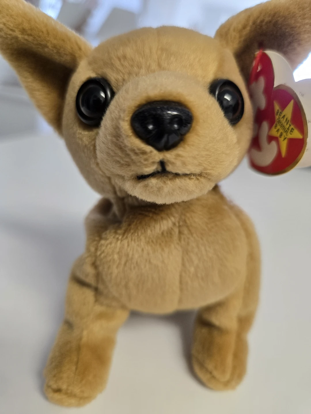 Vintage TY Beanie Baby – Tiny the Chihuahua (1999, w/ Tags) - photo 3