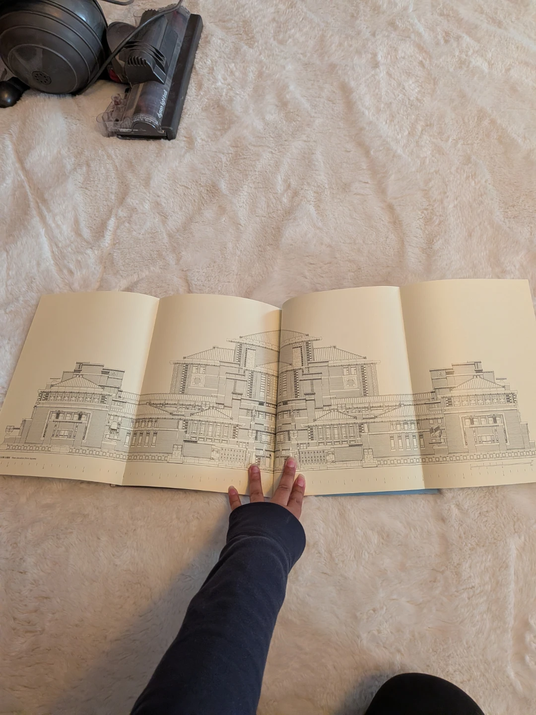 Frank Lloyd Wright: Imperial Hotel Book - photo 3