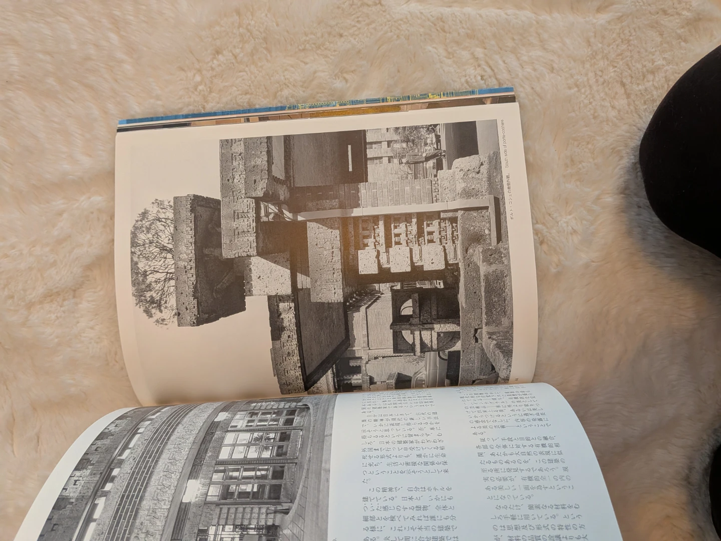 Frank Lloyd Wright: Imperial Hotel Book - photo 4