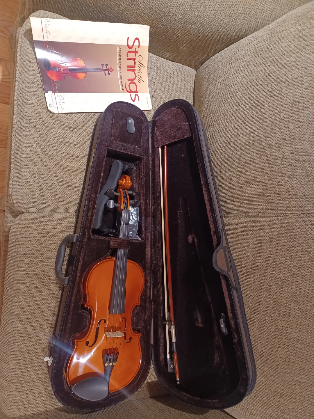 Violin with Case and Bow